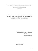 NGHIÊN CỨU TIÊU THỤ CÀ PHÊ TRONG NƯỚC  TẠI HÀ NỘI VÀ TP HỒ CHÍ MINH