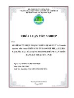 Nghiên cứu hiện trạng nhiễm bệnh TSWV