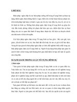 TẠM GIAM TRONG LUẬT TỐ TỤNG HÌNH SỰ