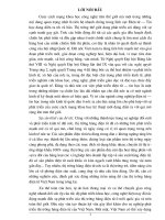 Giới thiệu về hàng điện tử