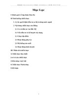 Chiến lược kinh doanh của Hon Da khi thâm nhập và đầu tư trực tiếp vào Bắc Mỹ