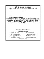 thị trường dịch vụ phát triển kinh doanh cho các doanh nghiệp vừa và nhỏ ở Việt Nam