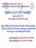 Nghiên cứu khả năng xử lý một số kim loại nặng bằng cây Phát lộc (Dracaena sanderian) trong bùn thải từ các gara xe tại thành phố Đà Nẵng