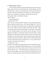 Tổng quan chung về công ty bánh kẹo Hải Hà