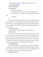 TÔI LẤY ĐƯỢC NÓ RỒI,  LÀM GÌ VỚI NÓ ĐÂY?