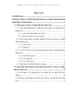 Biện pháp phát triển kinh doanh nhập khẩu ở công ty cổ phần dầu khí Sông Lam