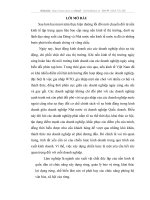 Thực trạng chiến lược kinh doanh của Tổng công ty Lâm nghiệp Việt Nam. Định hướng chiến lược và giải pháp thực hiện chiến lược giai đoạn 2008- 2015