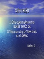 TỔNG QUAN NGÀNH CÔNG NGHIỆP THUỘC DA