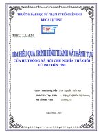 tìm hiểu quá trình hình thành và thành tựu của hệ thống xã hội chủ nghĩa thế giới từ 1917 đến 1991