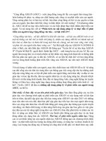 Phân tích các nội dung pháp lý và thực tiễn về phát triển con người trong Cộng đồng văn hóa – xã hội ASEAN