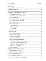 Kĩ thuật lưu  lượng trong mạng IP