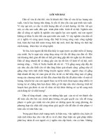 511 Nghiên cứu chiến lược phát triển dân số và phát triển nguồn nhân lực ở nước ta