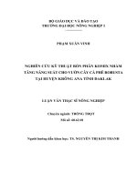 NGHIÊN CỨU KỸ THUẬT BÓN PHÂN KOMIX NHẰM TĂNG NĂNG SUẤT CHO VƯỜN CÂY CÀ PHÊ ROBUSTA TẠI HUYỆN KRÔNG ANA TỈNH ĐAKLAK