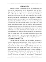 TỔNG QUAN VỀ CÔNG TY CỔ PHẦN ĐẦU TƯ  BẮC KỲ