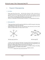 Tổng quan về Mạng ngang hàng