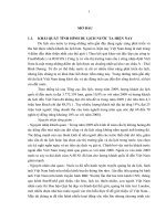 TỔNG QUAN VỀ DU LỊCH NÔNG THÔN