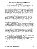 Phát triể thị trường xuất khẩu hàng thủ công mỹ nghệ của Công ty T THHH Thương mại Việt Nhật