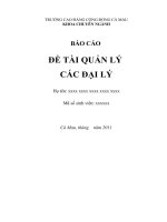 ĐỀ TÀI QUẢN LÝ  CÁC ĐẠI LÝ