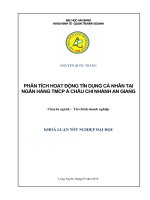 PHÂN TÍCH HOẠT ĐỘNG TÍN DỤNG CÁ NHÂN TẠI NGÂN HÀNG TMCP Á CHÂU CHI NHÁNH AN GIANG