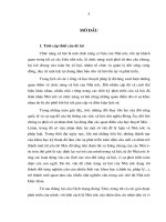 chức năng xã hội của Nhà nước cộng hòa xã hội chủ nghĩa Việt nam