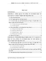 Tình hình hoạt động đầu tư và quản lý đầu tư của công ty cổ phần đầu tư xây dựng và phát triển đô thị Sông Đà