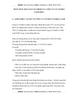 PHÂN TÍCH  BÁO CÁO TÀI CHÍNH CỦA CÔNG TY CP CƠ ĐIỆN LẠNH (REE)