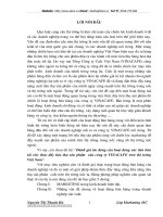 Đánh giá tác động của hoạt động xúc tiến bán hàng tới việc thúc đẩy tiêu thụ sản phẩm của công ty Vinacafe trên thị trường Việt Nam