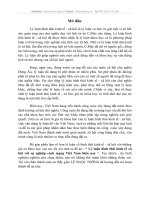 Lý luận hình thái kinh tế xã hội với sự nghiệp cách mạng Việt Nam hiện nay