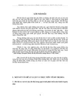 ẢNH HƯỞNG CỦA QUÁ TRÌNH ĐÔ THỊ HÓA ĐẾN NÔNG THÔN Ở VIỆT NAM