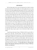 Các giải pháp nâng cao chất lưọng hoạt động tài chính nhằm thúc dẩy hiệu quả kinh doanh của Công ty CP Bánh kẹo Hải Hà  sau cổ phần hoá