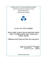 DUNG HỢP ẢNH SỬ DỤNG PHƯƠNG PHÁP  THỰC NGHIỆM PHÂN HỦY THEO HAI  CHIỀU BEMD