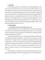 giám định sở hữu trí tuệ