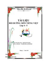 Bồi dưỡng môn Tiếng Việt lớp 4-5