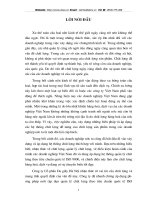 Biện pháp nâng cao chất lượng sản phẩm tại Công ty cổ phần Da giầy Hà Nội