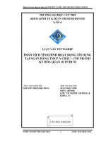 PHÂN TÍCH TÌNH HÌNH HOẠT ĐỘNG TÍN DỤNG  TẠI NGÂN HÀNG TMCP Á CHÂU – CHI NHÁNH  KỲHÒA QUẬN 10 TP.HCM