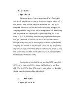 thiết lập các giải pháp SCM, mạng lưới SCM, các bộ phần mềm SCM