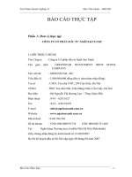 Lợi nhuận và một số giải pháp chủ yếu tăng lợi nhuận tại Công ty CPĐT Ngôi Sao Xanh