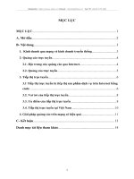 Vấn đề kinh doanh qua mạng