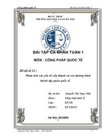 Phân tích các yếu tố cấu thành và con đường hình thành tập quán quốc tế