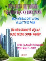 TÌM HIỂU SA8000 VÀ VIỆC ÁP DỤNG TRONG DOANH NGHIỆP