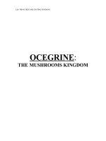 THE MUSHROOMS KINGDOM