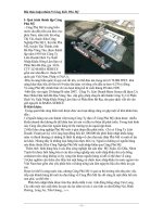 Tổng quan về Quá trình thành lập Cảng Phú Mỹ