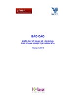 KHẢO SÁT VỀ QUAN HỆ LAO ĐỘNG  CỦA DOANH NGHIỆP TẠI KHÁNH HÒA