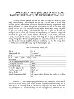 CÔNG NGHIỆP TRUNG QUỐC CHUYỂN MÌNH ĐANG LÀM THAY ĐỔI TRẬT TỰ NỀN CÔNG NGHIỆP TOÀN CẦU