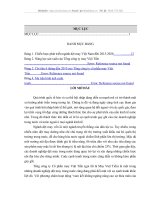 Khai thác lợi thế cạnh tranh cho áo sơ mi Việt Tiến trong thị trường nội địa