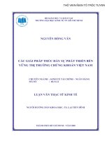 Các  giải pháp phát triển bền vững thị trường chứng khoán Việt Nam