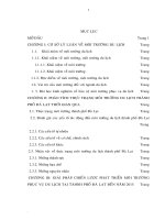 104 Giải pháp chiến lược phát triển môi trường phục vụ du lịch thành phố Đà Lat đến năm 2015