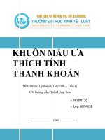Lý thuyết Khuôn mẫu ưa thích tính thanh khoản