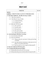 259 Một số giải pháp góp phần đẩy nhanh tiến trình tại Công ty Cổ phần hóa tại các Doanh nghiệp nhà nước độc quyền ở Việt Nam
