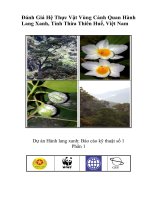 Đánh Giá HệThực Vật Vùng Cảnh Quan Hành  Lang Xanh, Tỉnh Thừa Thiên Huế, Việt Nam